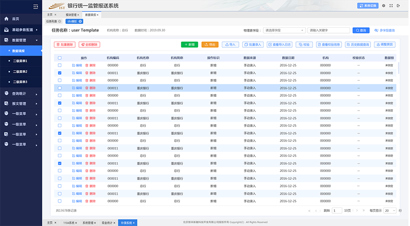 監管報送軟件UI設計及EXT開發